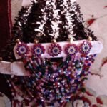 IMG-20250429-WA0040